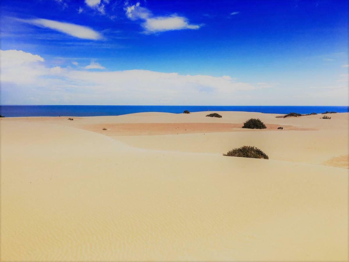 Corralejo Sun 202 Leilighet Eksteriør bilde